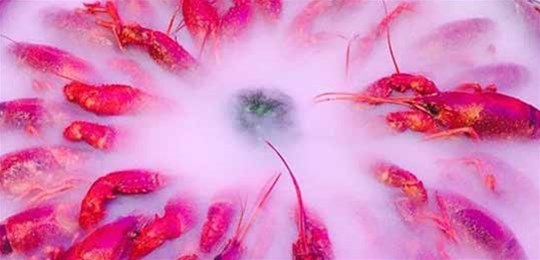 如何選擇山西高純氣體管道配管及附件材料？